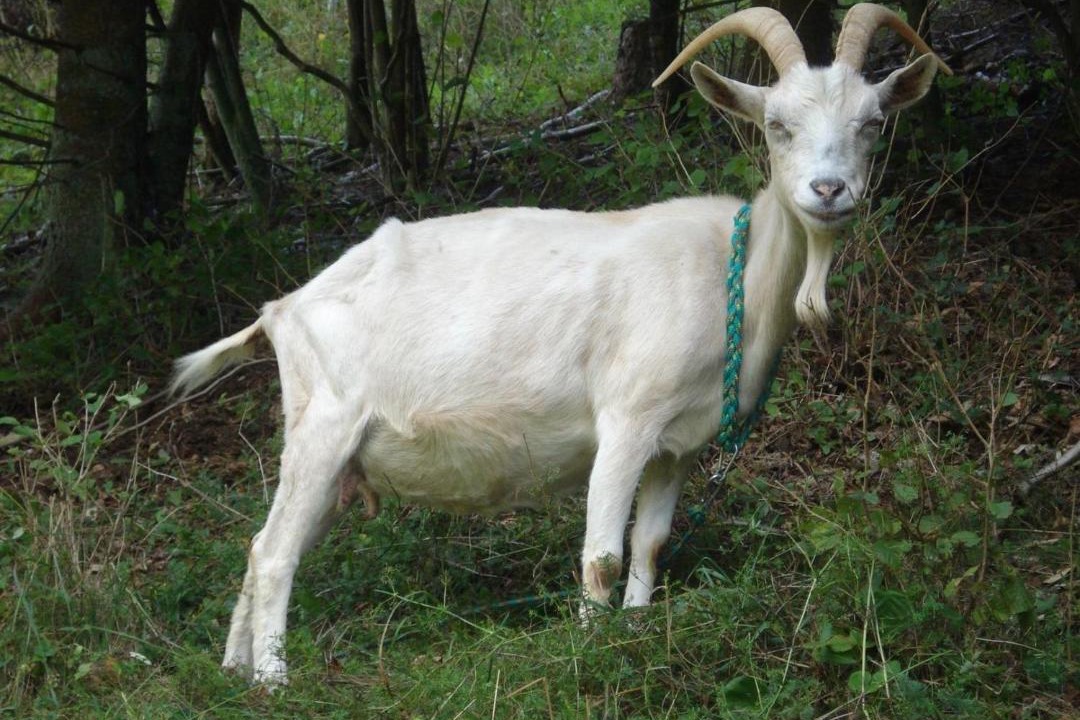 Photo of Others in Groenohe