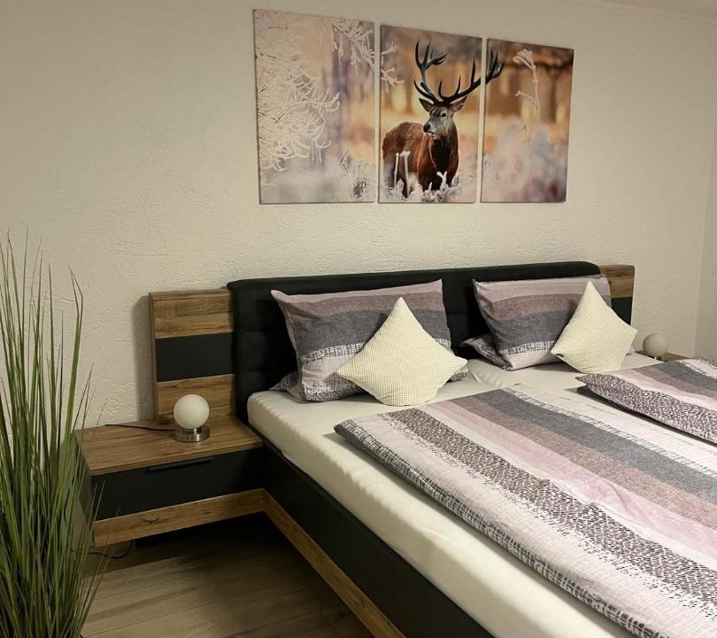 Photo of Bedroom in Buchet