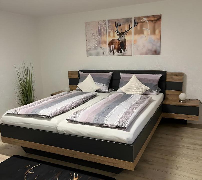 Photo of Bedroom in Buchet