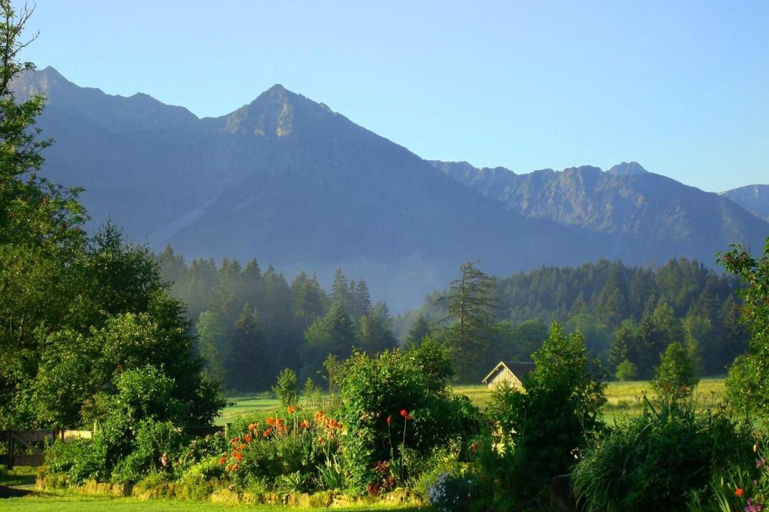 Photo of Others in Ofterschwang