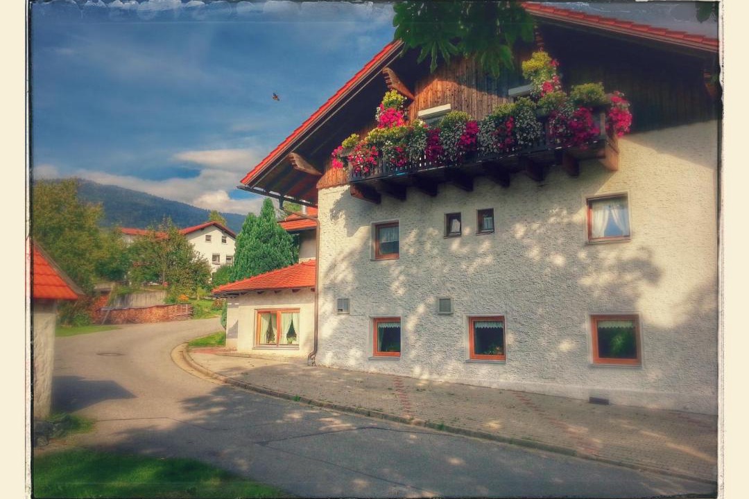 Photo of Others in Bad Koetzting