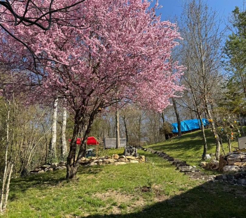 Photo of Outdoor in Dettenheim