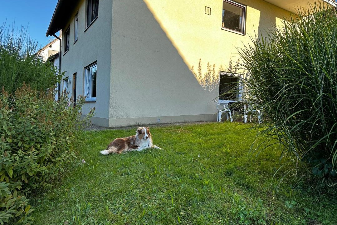 Photo of Others in Sendelbach