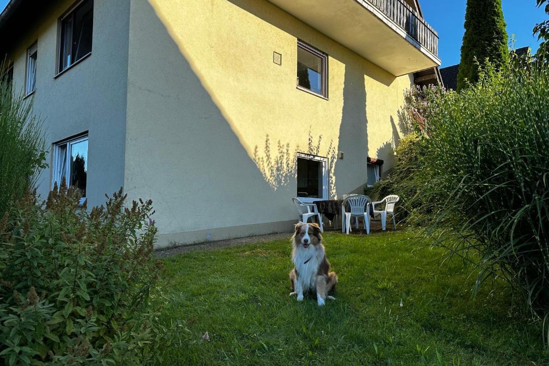 Photo of Others in Sendelbach