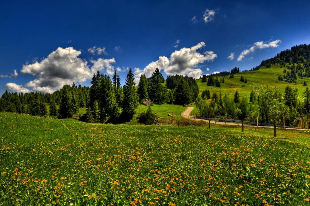 Photo of Others in Oberstaufen