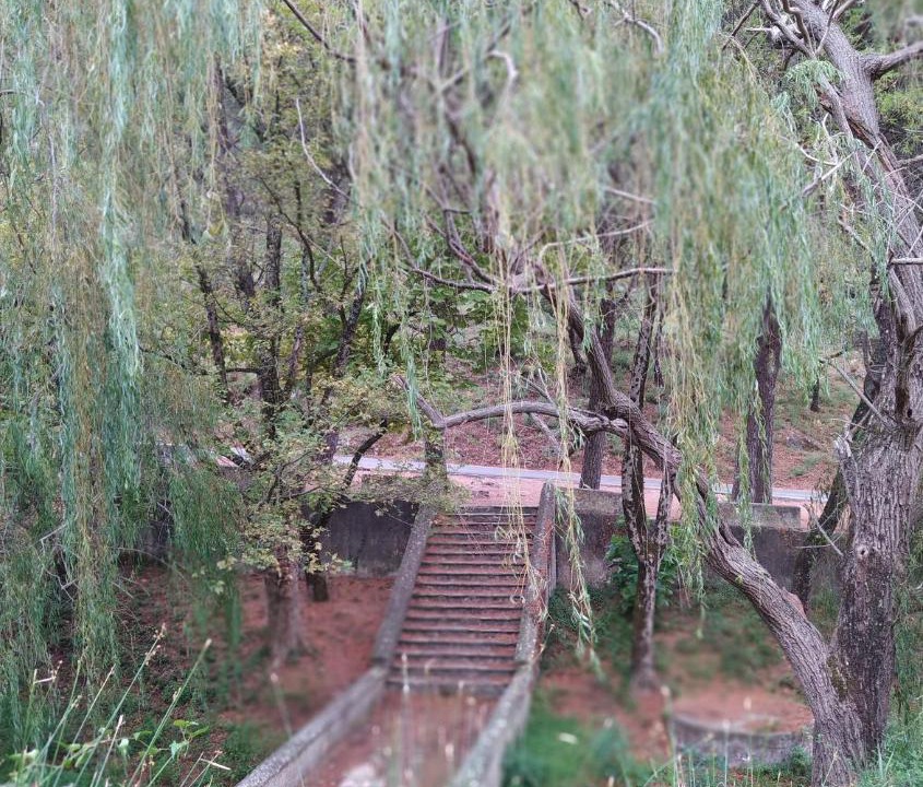 Photo of Others in Benamahoma