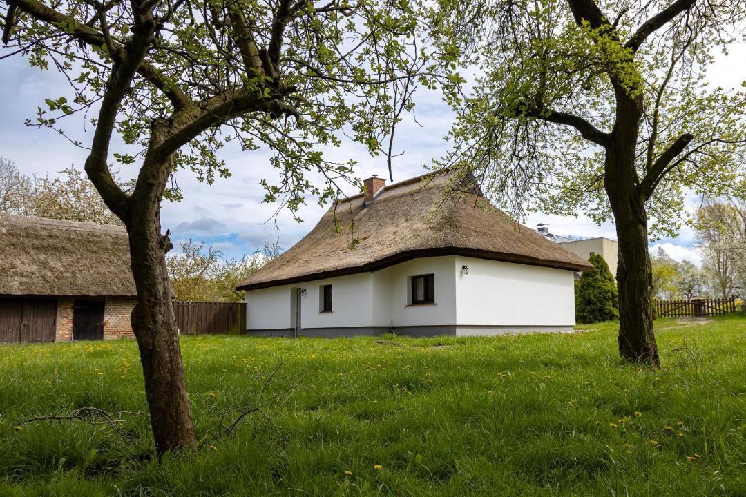 Photo of Others in Ummanz