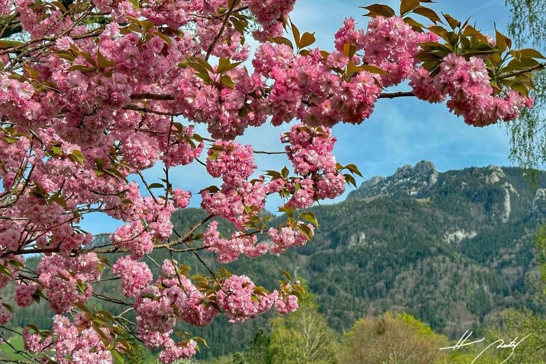 Photo of Others in Hohenaschau im Chiemgau