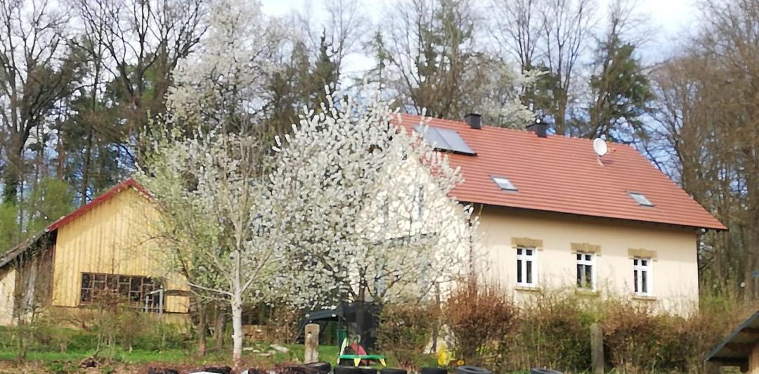 Photo of Others in Bruck in der Oberpfalz