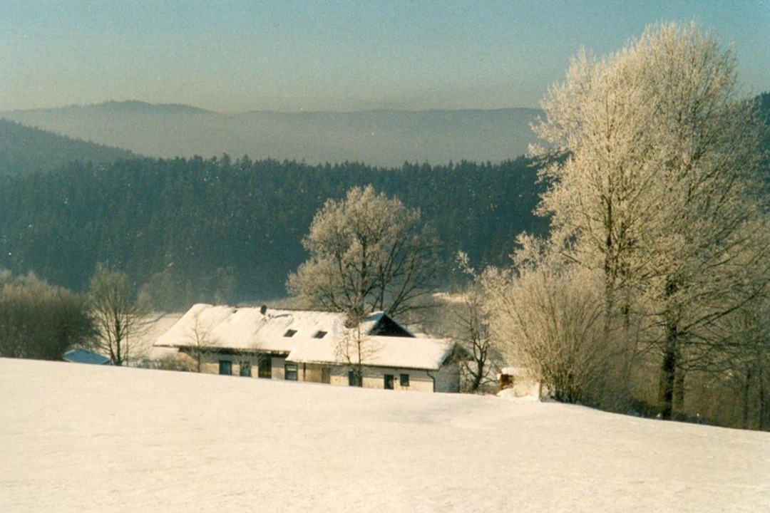 Photo of Others in Grafenried