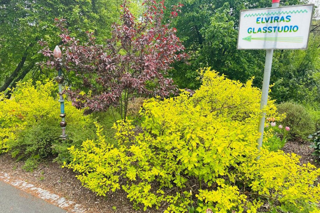 Photo of Outdoor in Waischenfeld