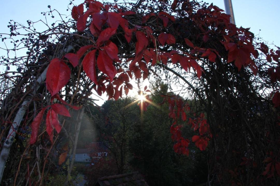 Photo of Outdoor in Waischenfeld