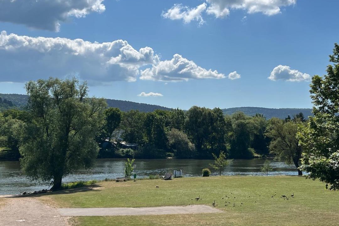 Photo of Others in Grosswallstadt