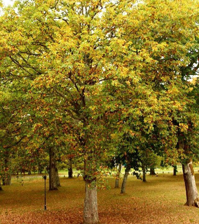 Photo of Outdoor in Cuestaedo