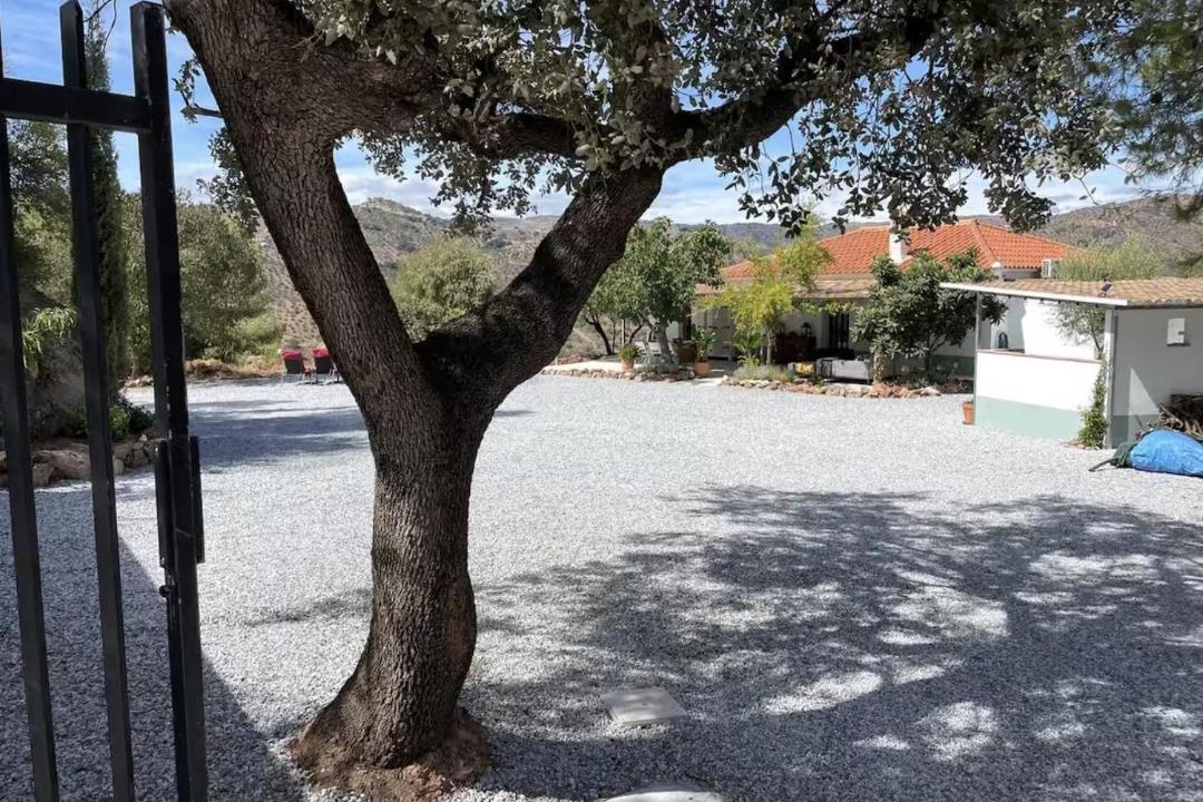 Photo of Others in Comares