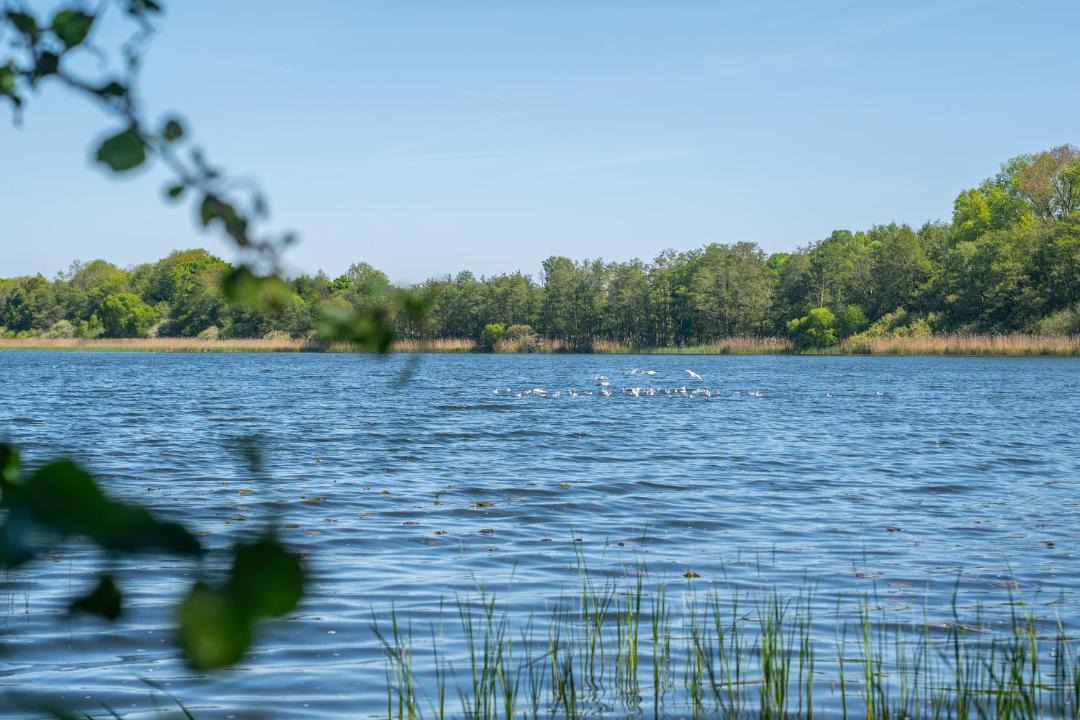 Photo of Others in Kreuzkamp