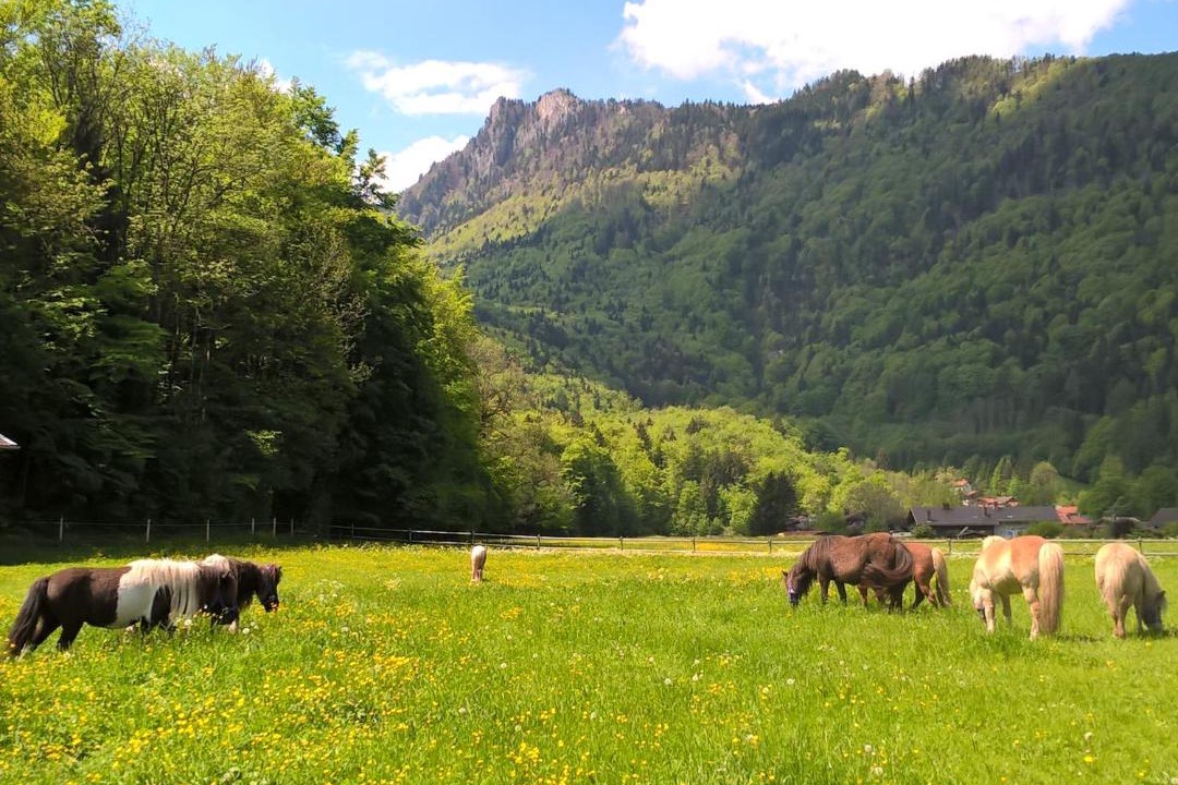 Photo of Others in Hohenaschau im Chiemgau