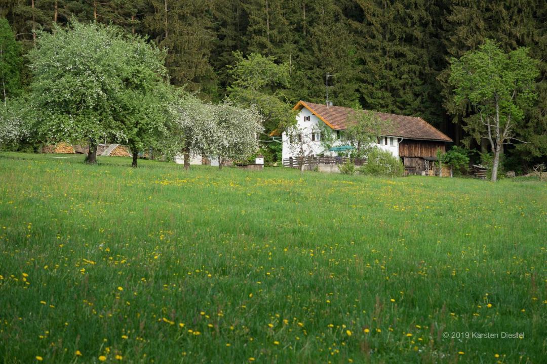 Photo of Others in Regen