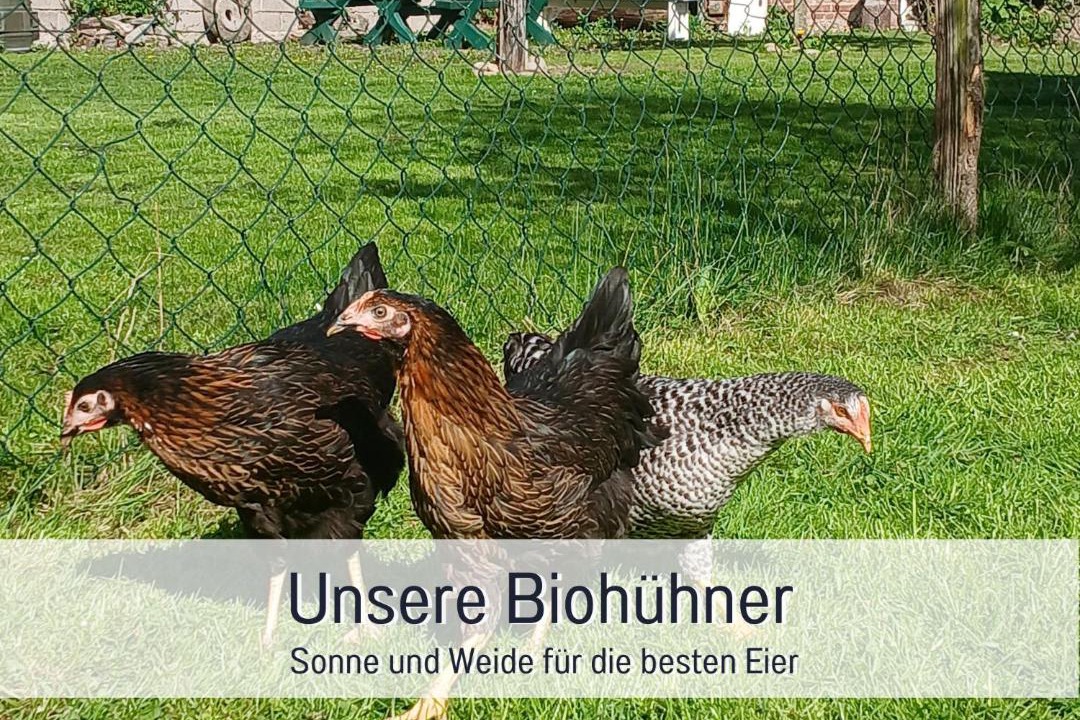 Photo of Others in Lennestadt