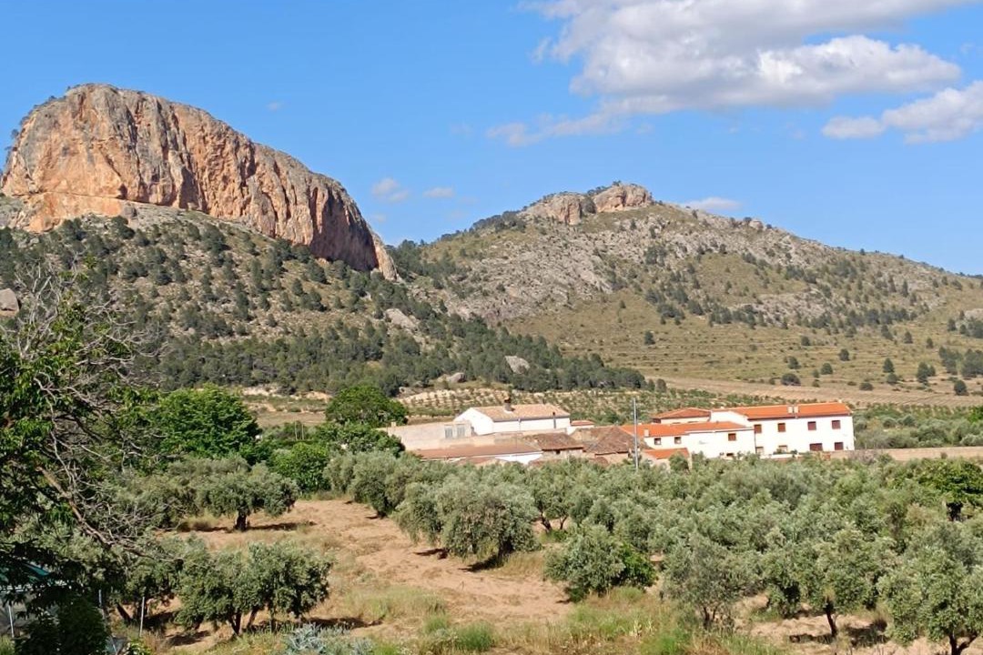 Photo of Others in Penarrubia