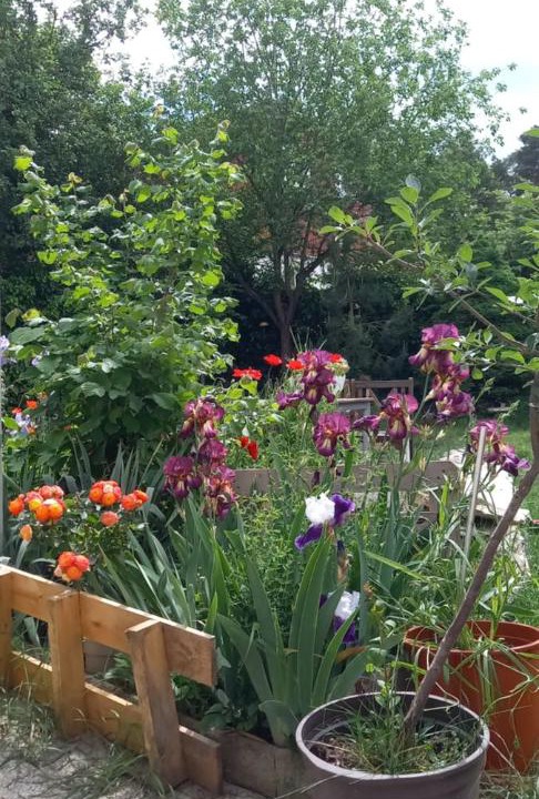 Photo of Outdoor in Georgensgmuend