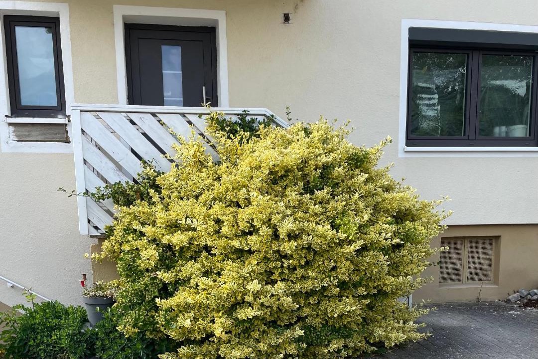 Photo of Others in Maihingen