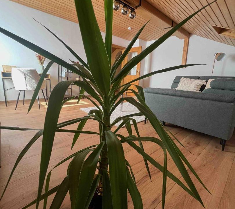 Photo of Livingroom in Soyen