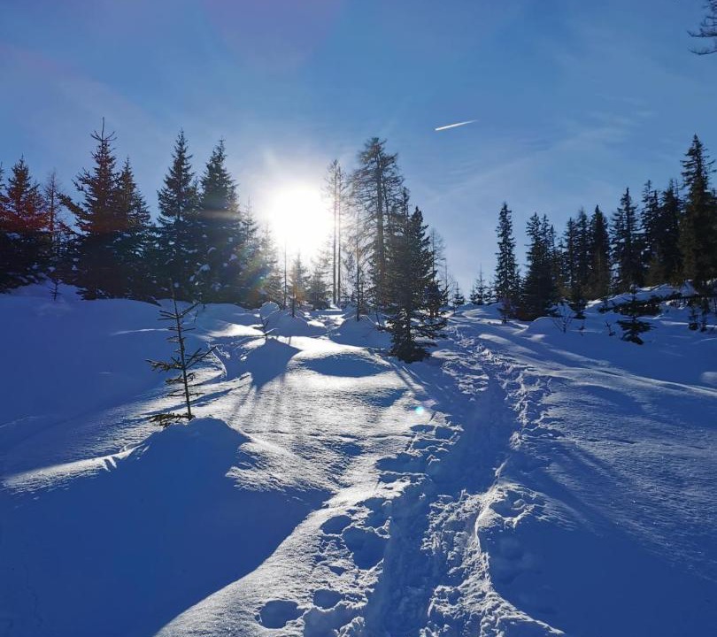 Photo of Others in Arzl im Piztal