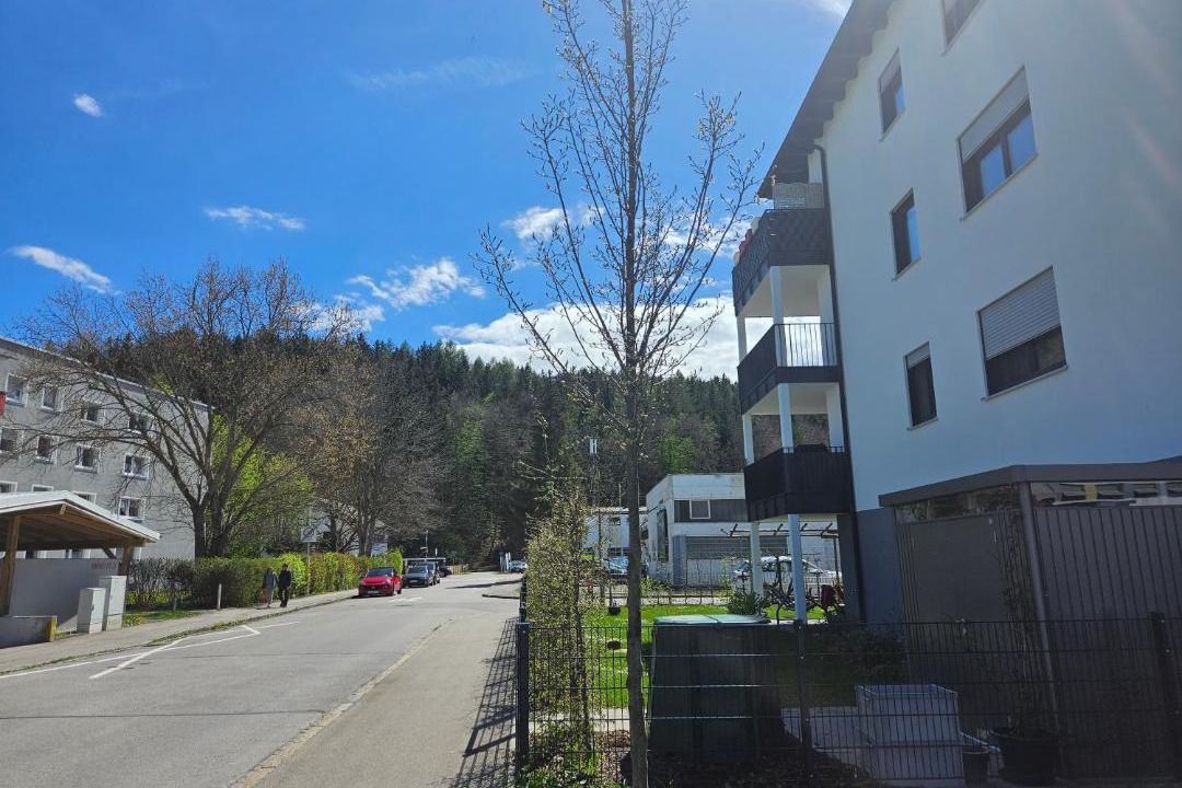 Photo of Others in Fuessen