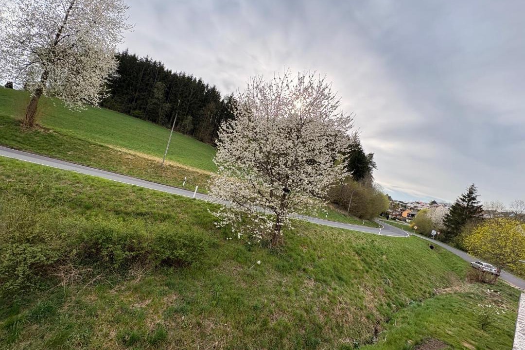 Photo of Others in Eschenbach in der Oberpfalz
