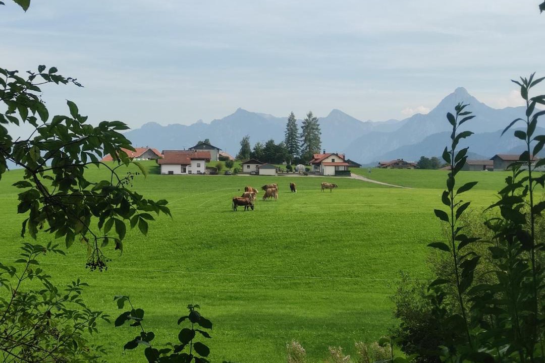 Photo of Others in Heitlern