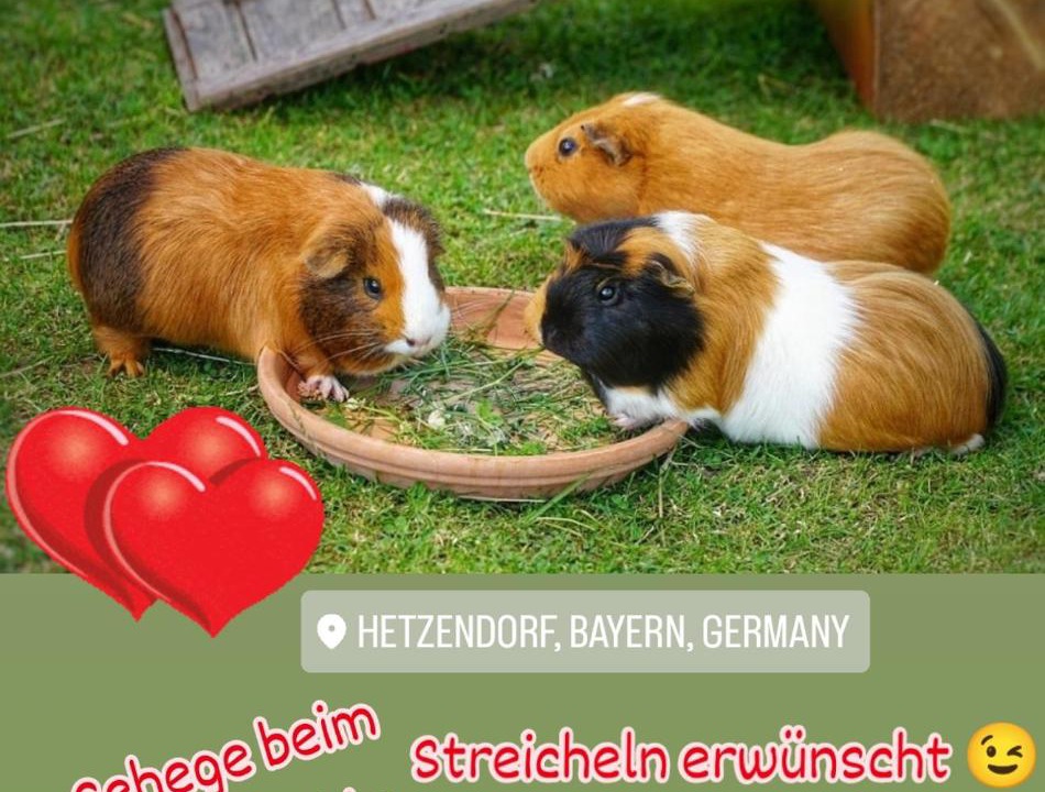Photo of Others in Betzenstein