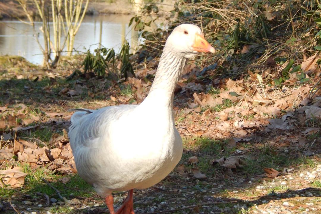 Photo of Others in Uebach-Palenberg