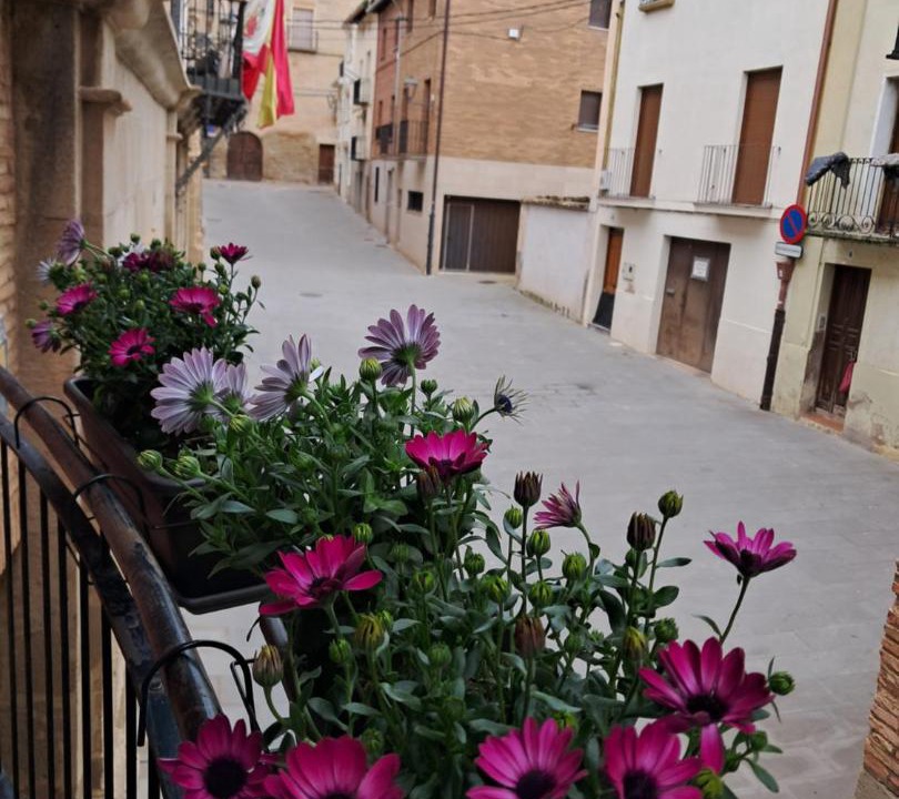 Photo of Others in Los Arcos