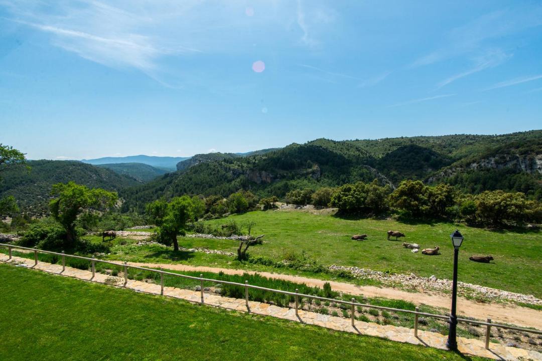 Photo of Others in Morella