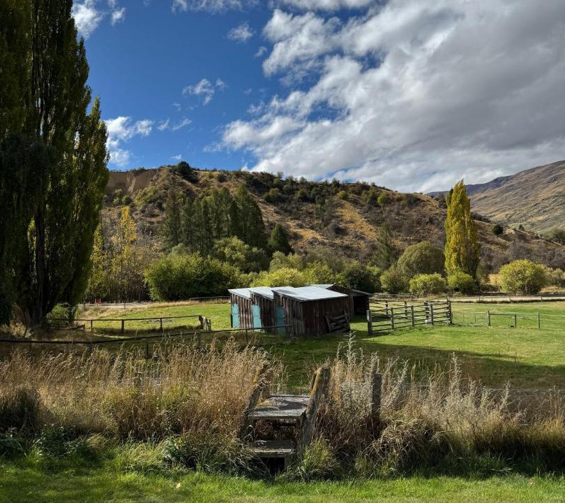 Photo of Others in Cardrona