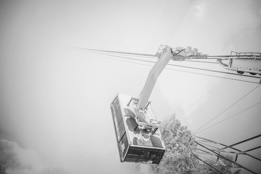 Photo of Human In Picture in Ramsau im Zillertal