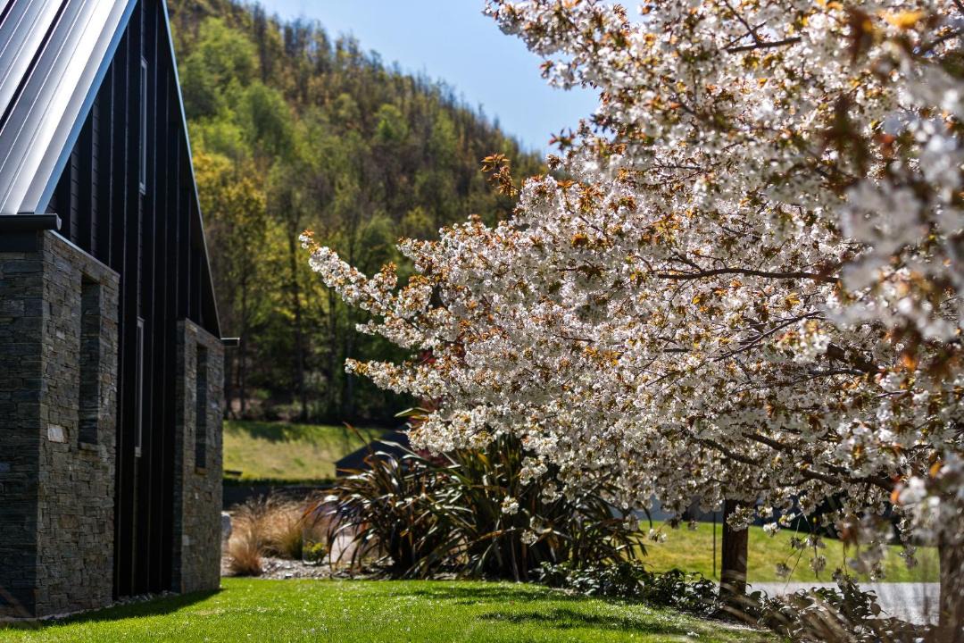 Photo of Others in Arrowtown
