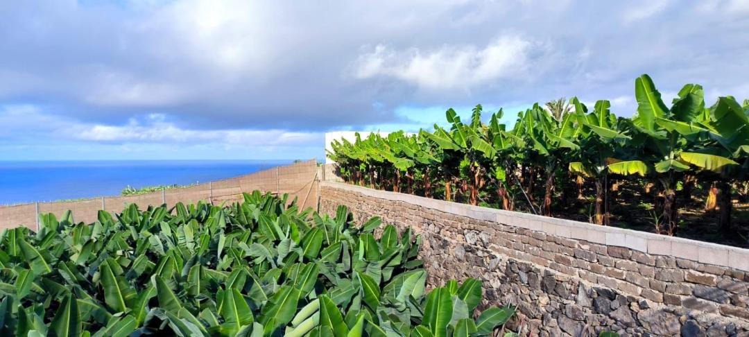 Photo of Others in Santa Maria de Guia de Gran Canaria