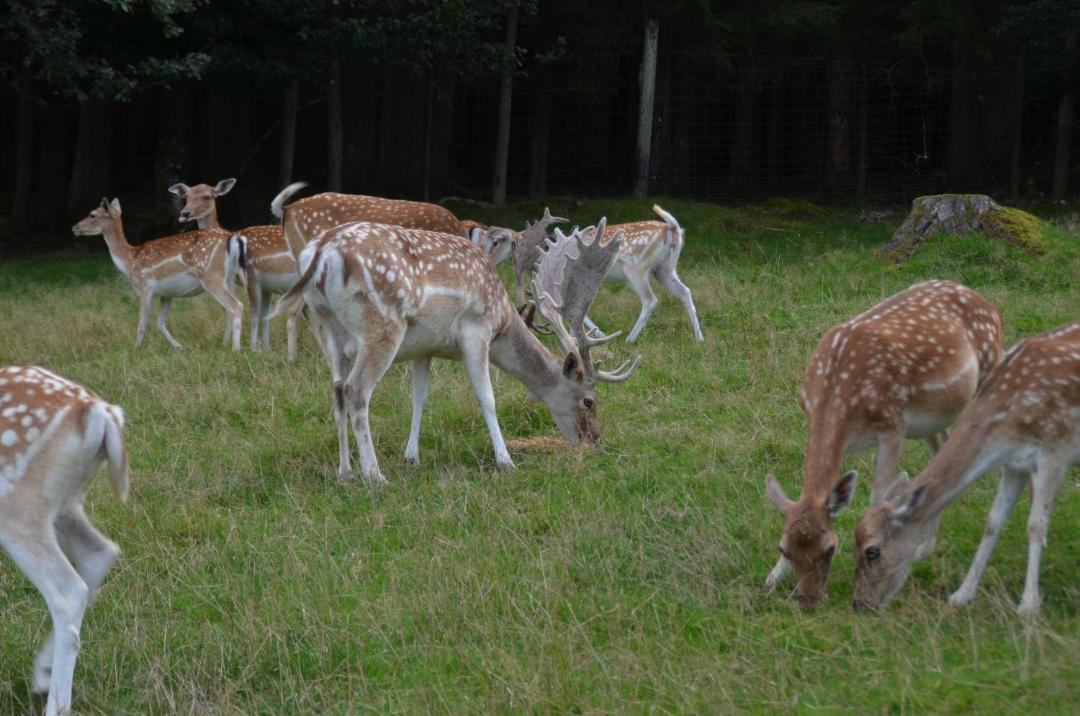 Photo of Others in Arnbruck