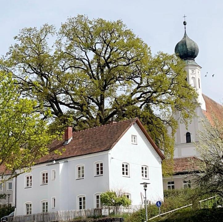 Photo of Buildings in Ortenburg