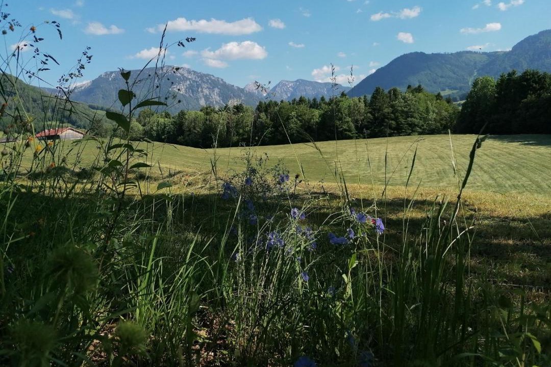 Photo of Others in Ruhpolding
