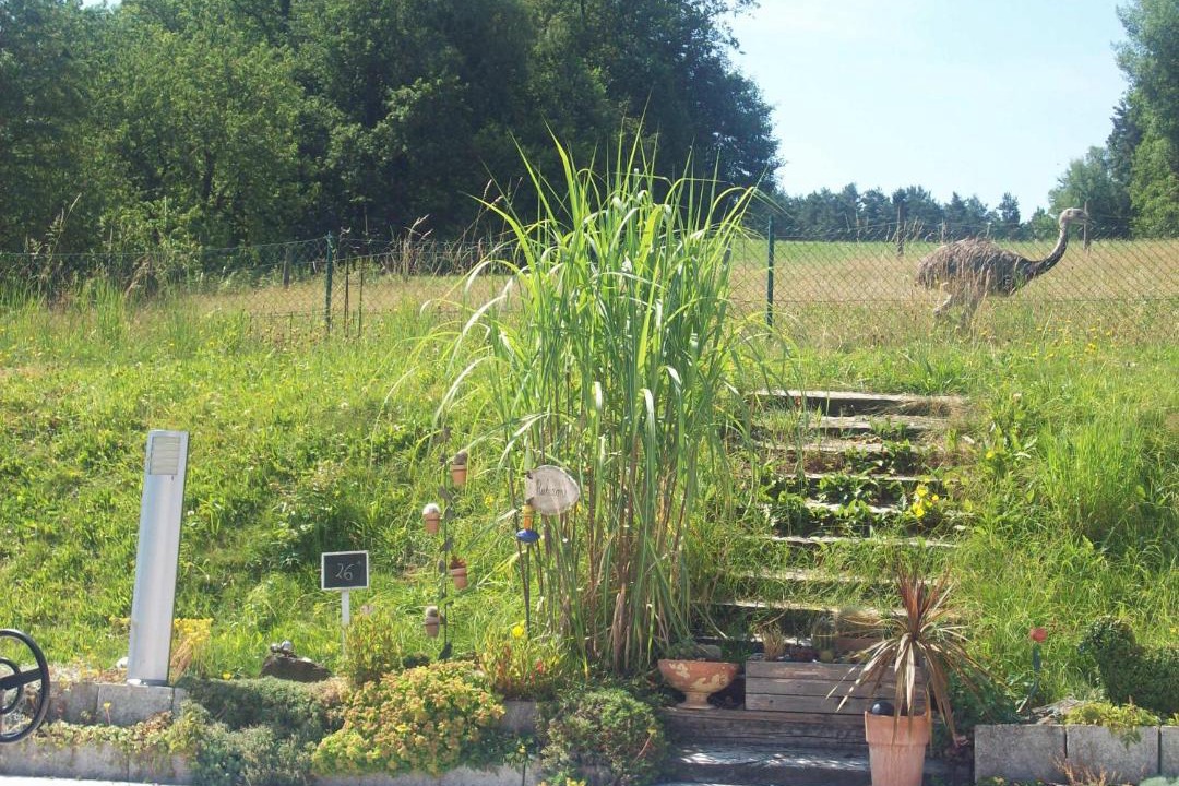 Photo of Others in Grafenwiesen