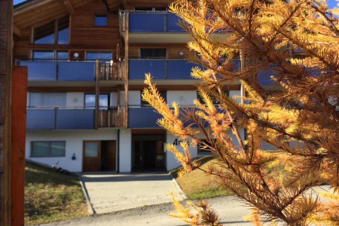 Photo of Others in Riederalp
