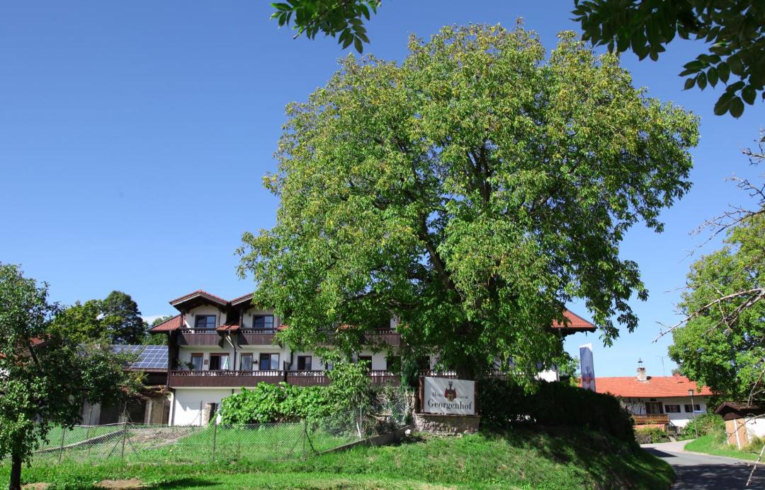 Photo of Others in Rimsting