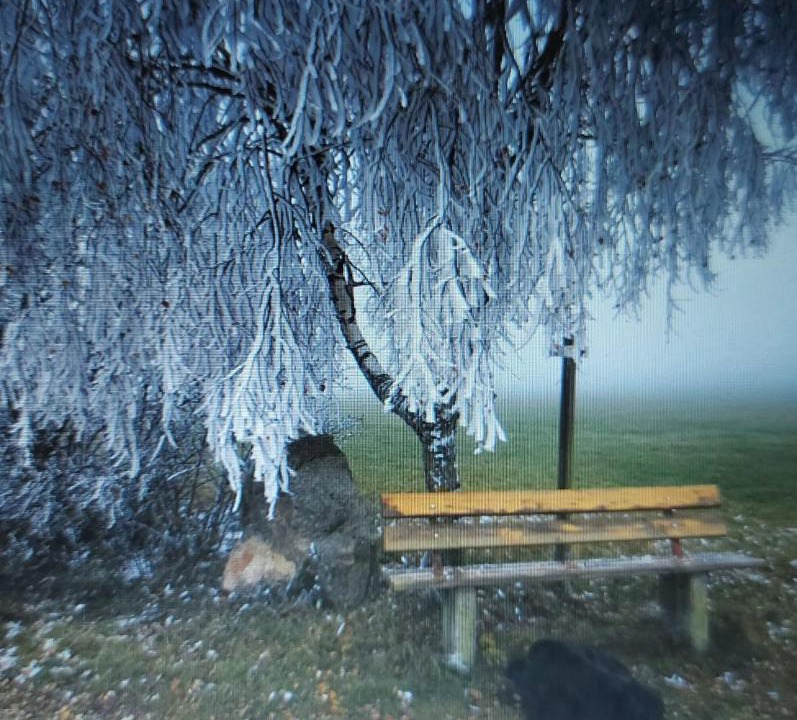 Photo of Others in Pottenstein