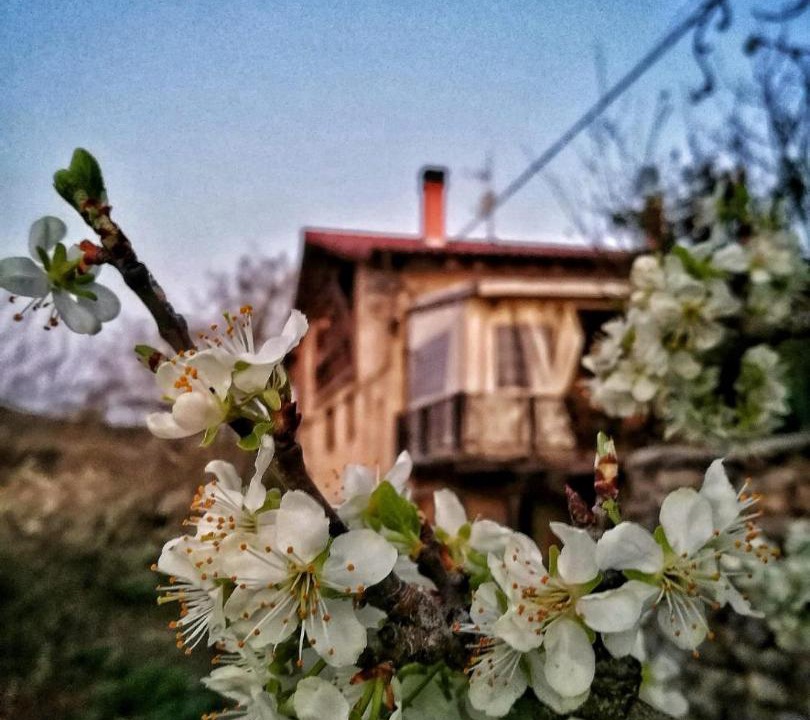 Photo of Others in Cigoitia