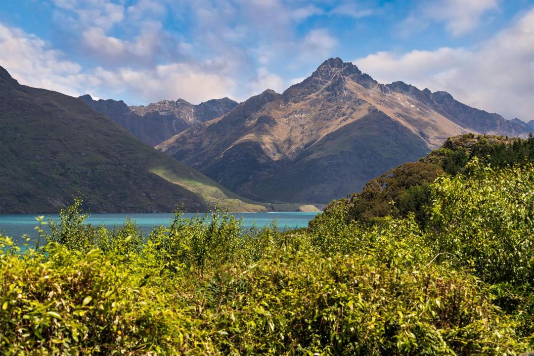 Photo of Others in Sunshine Bay