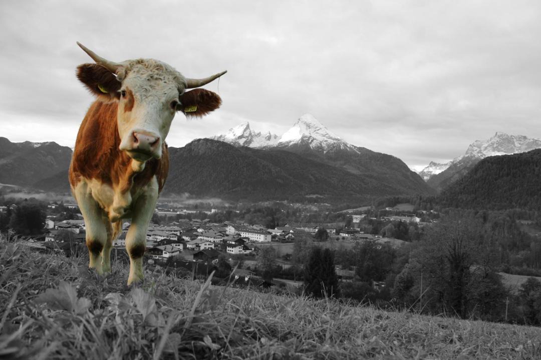 Photo of Others in Stanggaß