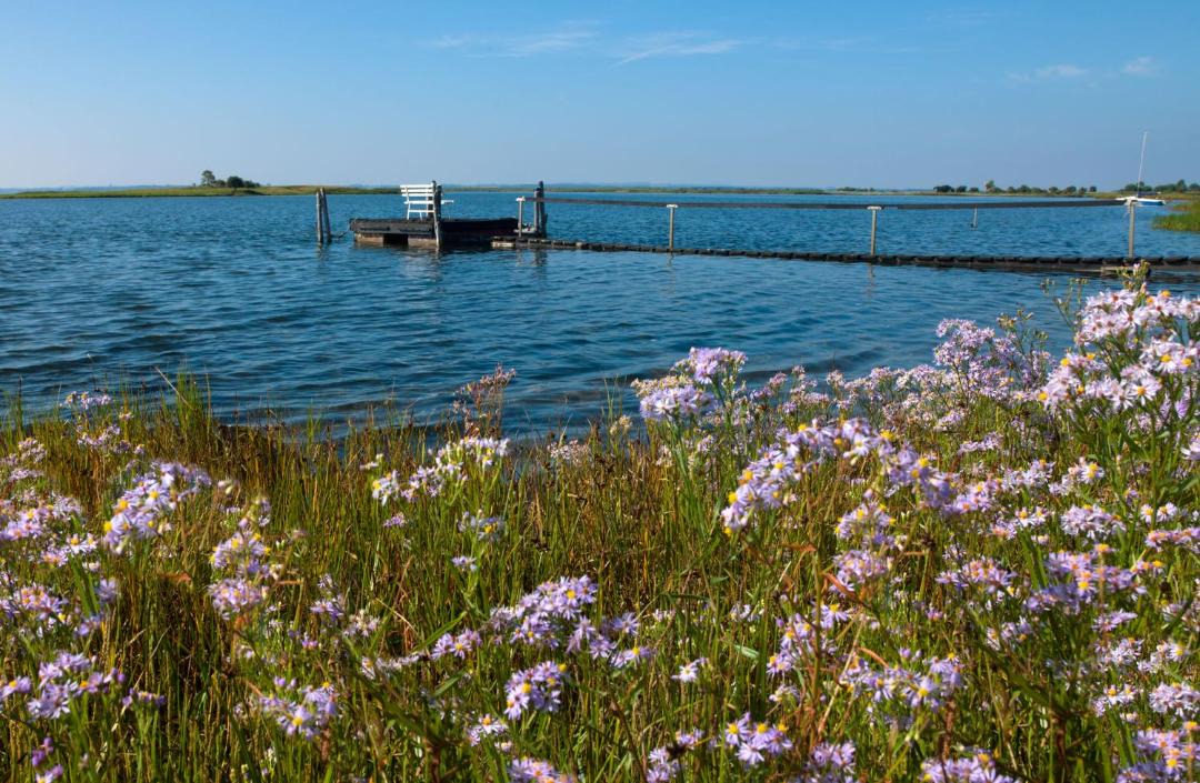Photo of Others in Am Schwarzen Busch